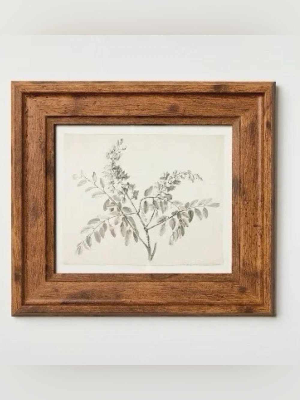 Sketched Branches Wall Art Framed 8"x
9" - Hearth & Hand with Magnolia NWT